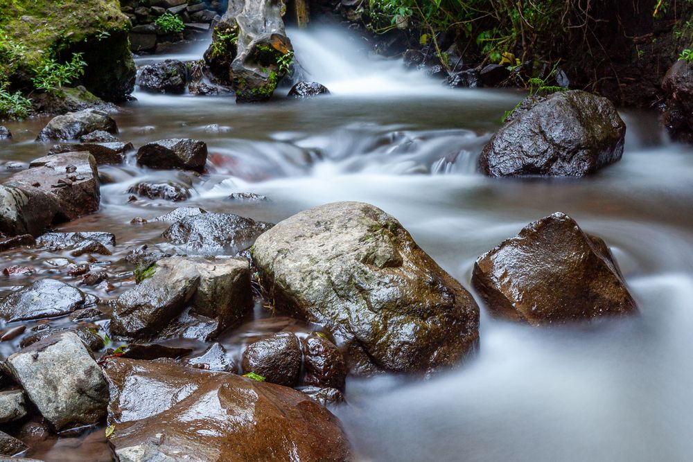 Water Slow Speed