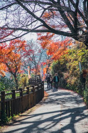 People walking on pathway between trees in Takao mountain near Tokyo, Japan