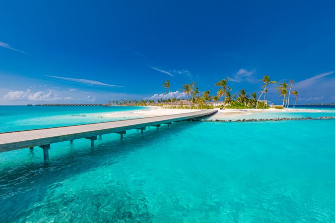 Walkway leading to small island with palm trees
