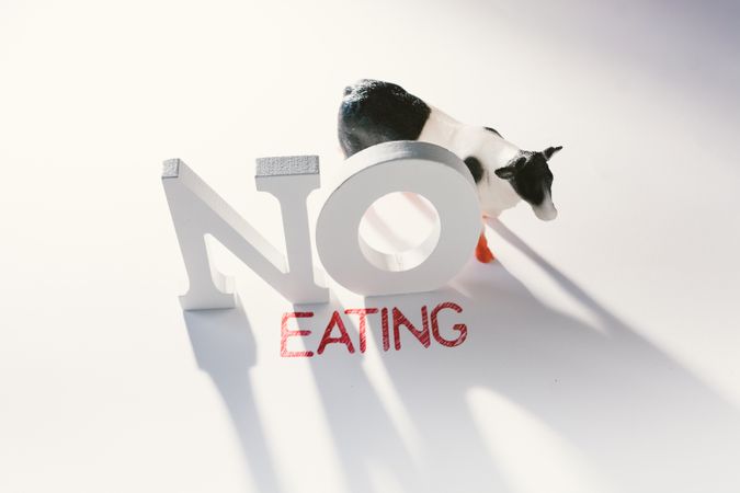 Concept of calling to stop eating animals