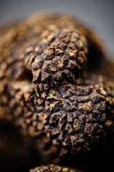 Truffles Closeup