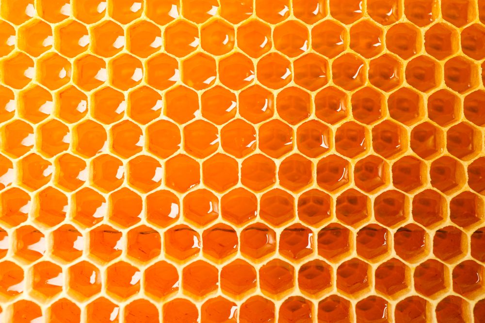 Honeycombs with sweet golden honey on whole background, close up
