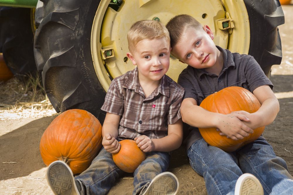 Two Young Boys Having Fun at the Pumpkin Patch on a Fall Day.