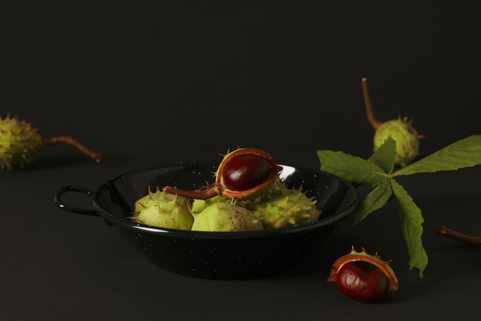 Fresh and ripe chestnuts, Autumn season chestnuts