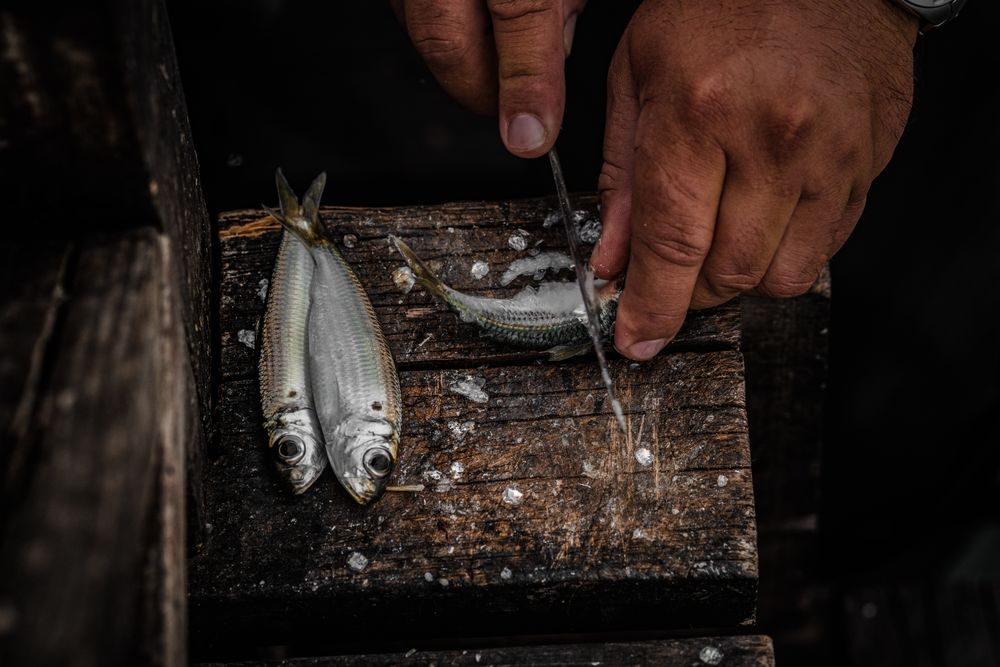Person cutting fish on cutting board