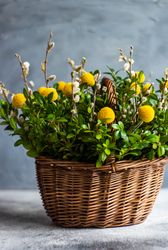 Easter card concept with fresh basket of greenery with decorative eggs with space for text