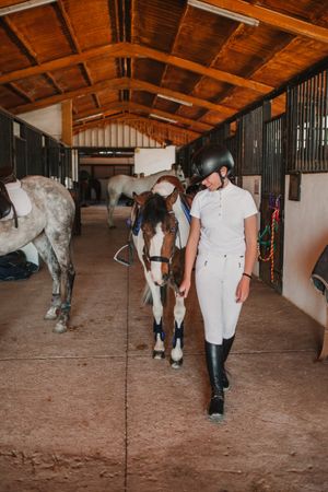 Jockey leading horse out of stable