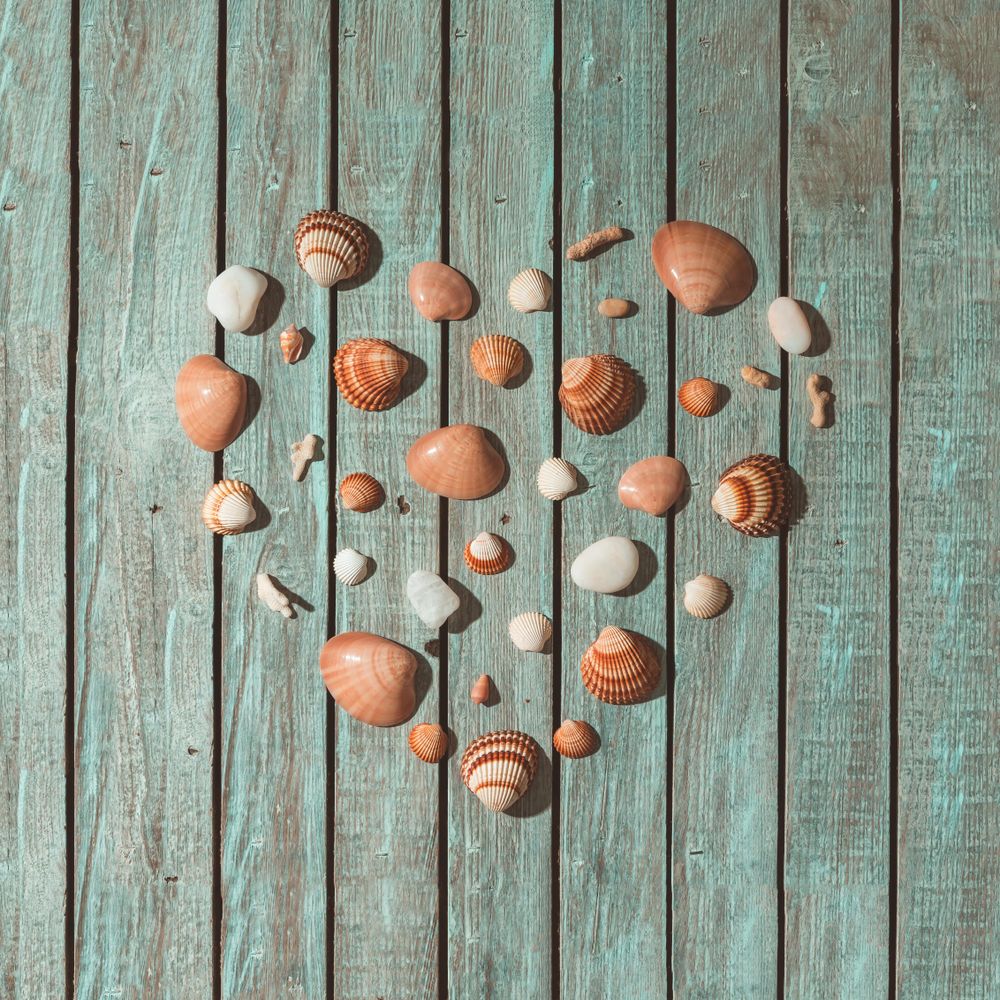 Sea shells arranged in heart shape on blue background