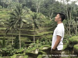 Man standing on green hill in Kabupaten Gianyar, Bali, Indonesia 0KJnAb