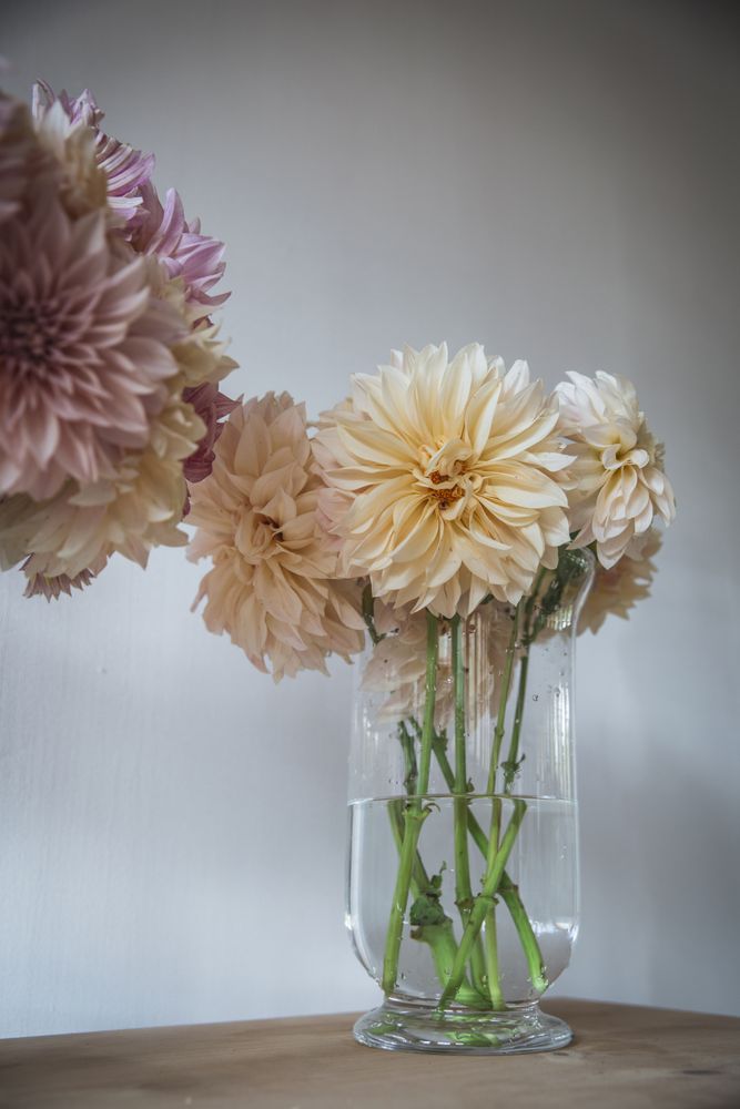 Bunches of flowers in vases on table