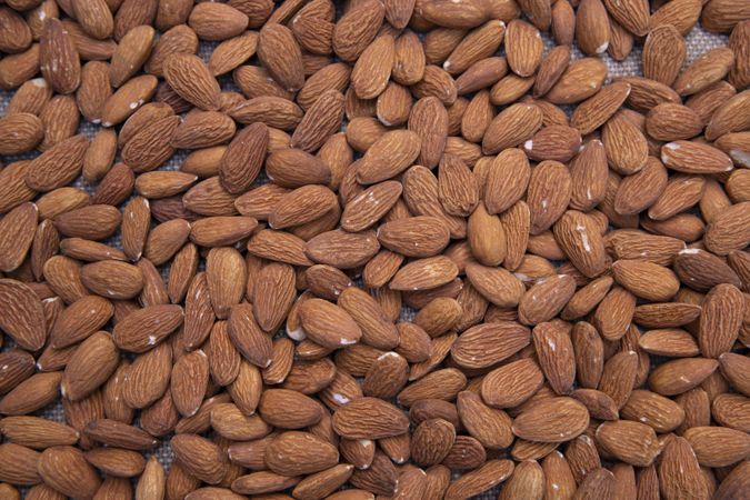 Snack bowl of almonds