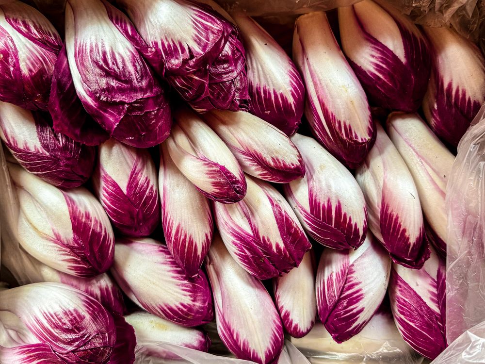 Red endives for sale in market