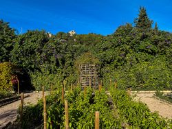 Herb, vegetable and fruit garden in the Baux-de-Provence