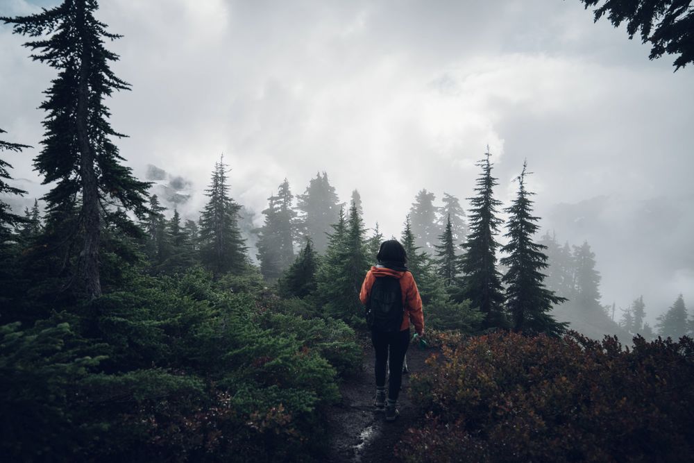Person with backpack standing in the woods