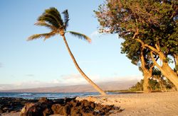 Beach scene on the island of Oahu, Hawaii 65XnQb
