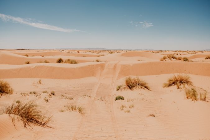Car tracks on sand in desert