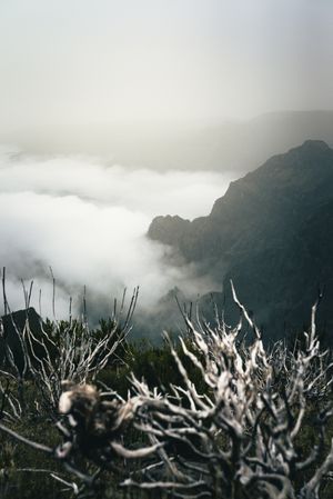 Fog rolling over the cliffs