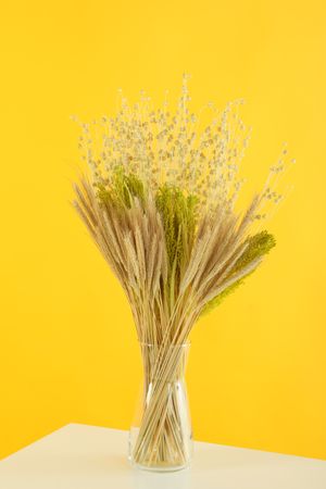 Glass vase filled with dried bunny tail flowers in yellow room, vertical composition