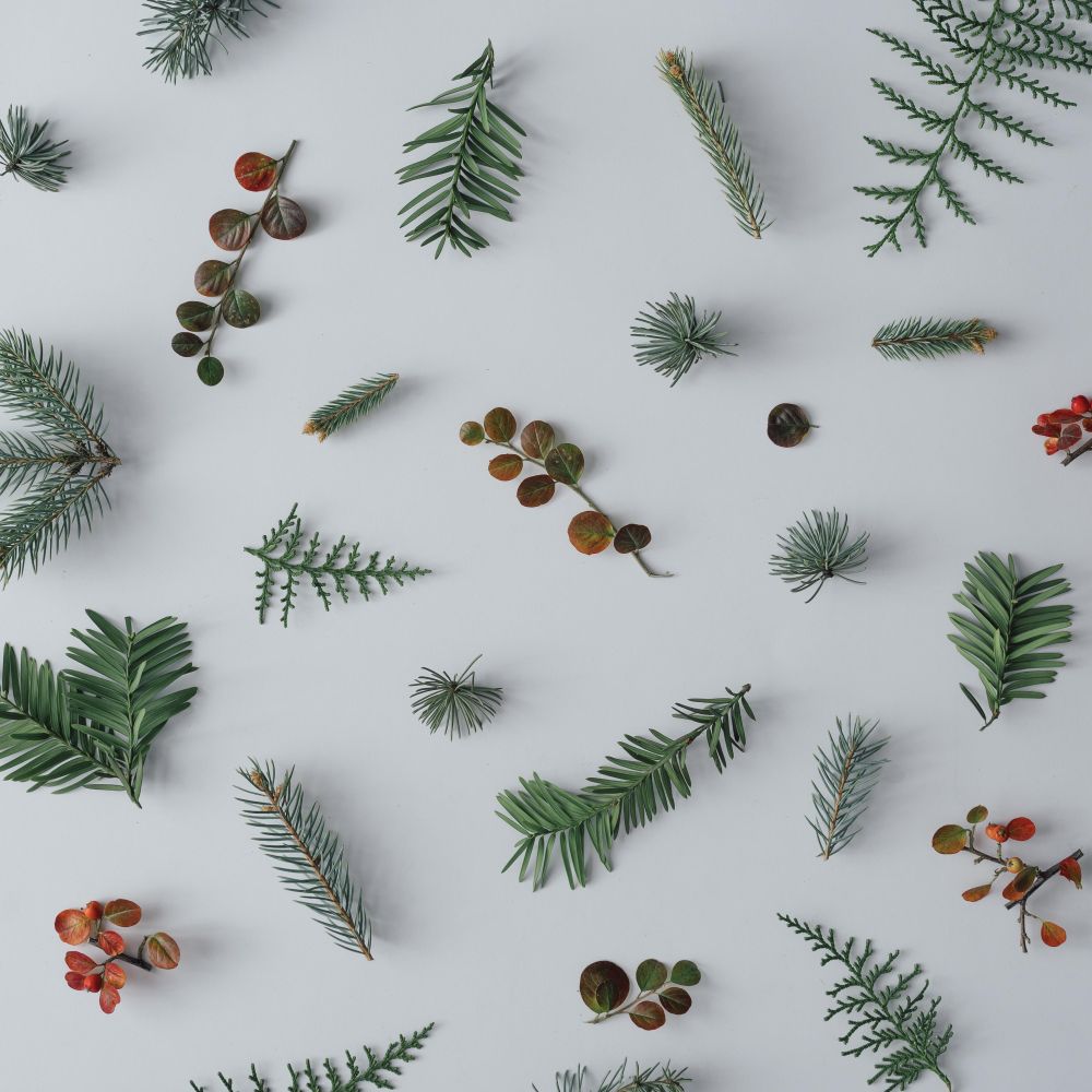 Christmas tree branches, autumn leaves, fir branches on light table background