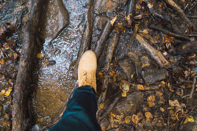Legs of traveler in casual outfit exploring autumn forest