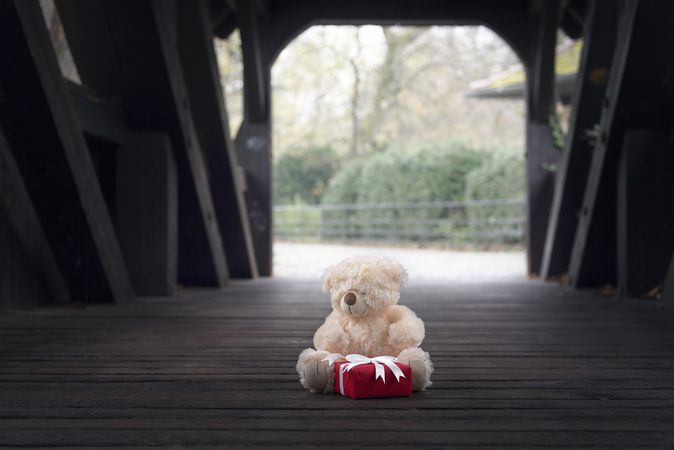 Teddy bear and gift in a wooden tunnel