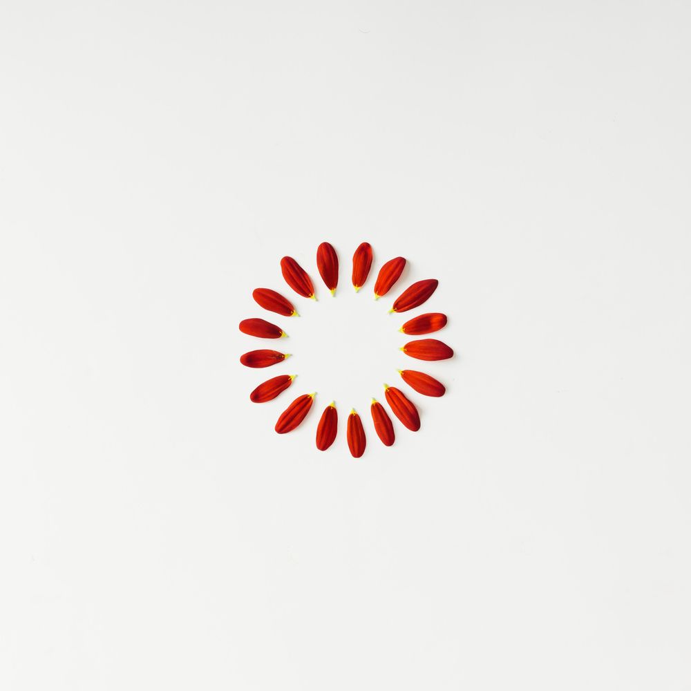 Flower petals arranged in circle