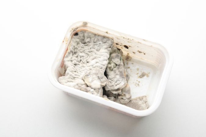 Mold, fungus on food, in a storage container.
