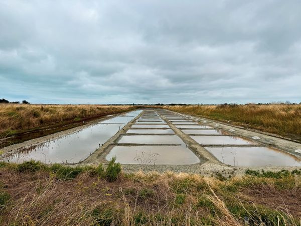 Sea salt harvest, Ile de Ré France