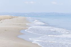 Foamy waves on wild beautiful beach shoreline