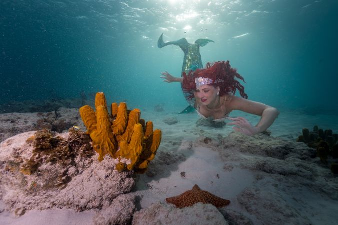 Redhead fairytale female mermaid swimming beside starfish