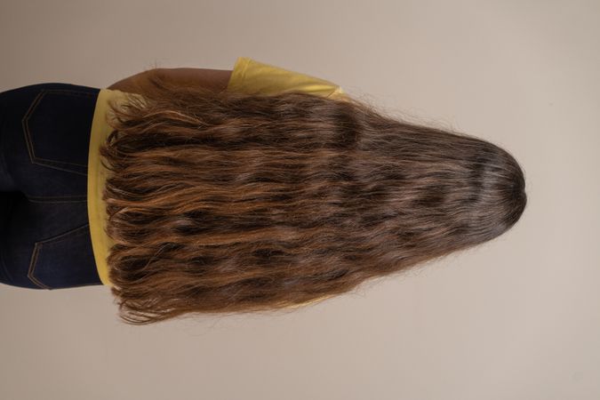 Rear view of a young woman with very long, thick brown hair.
