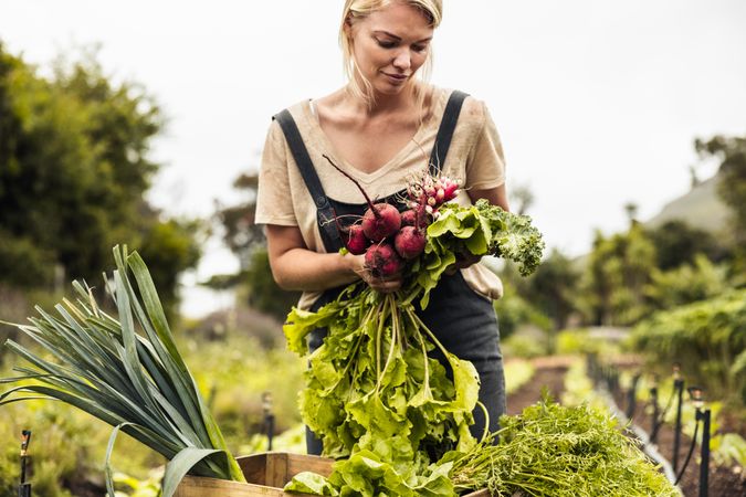 Content woman farmer gathering an assortment of fresh vegetables from her garden