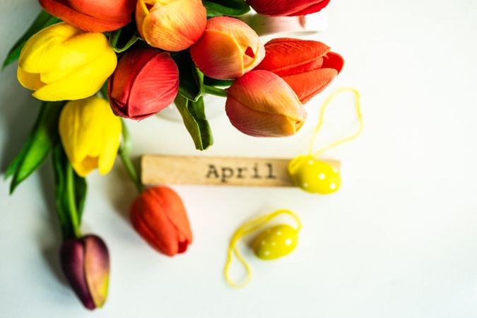 Tulips with yellow egg ornaments for spring time