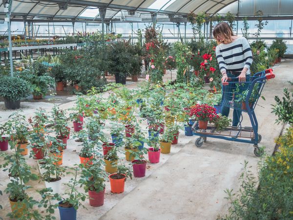 Female customer with cart on flower market