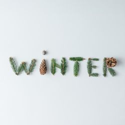 "WINTER" made of tree branches and pine cones on light background