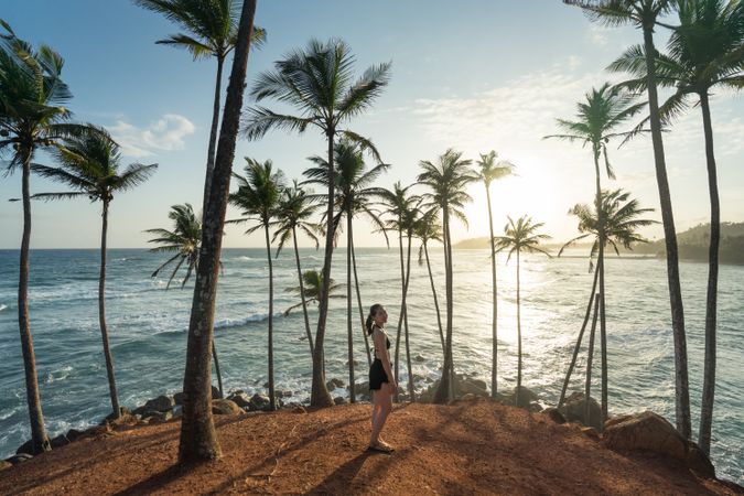 Tranquil female traveler among palms at seashore