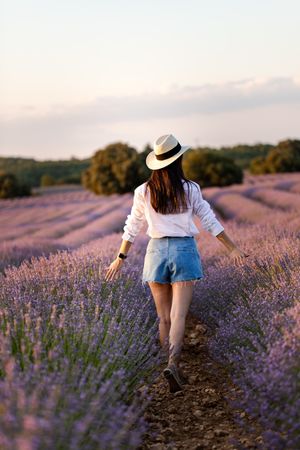 Anonymous woman walking in lavender field