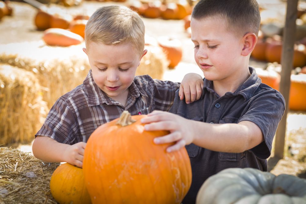 Two Boys Having Fun on a Fall Day