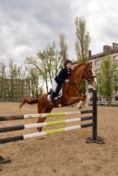 Focused rider clearing jump with horse, vertical shot.