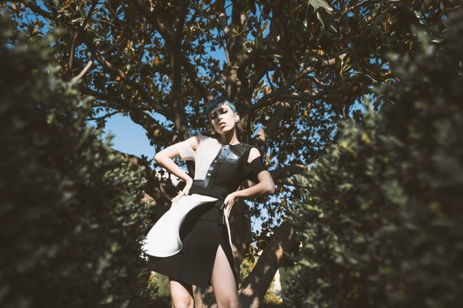 Informal young under tree in sunlight