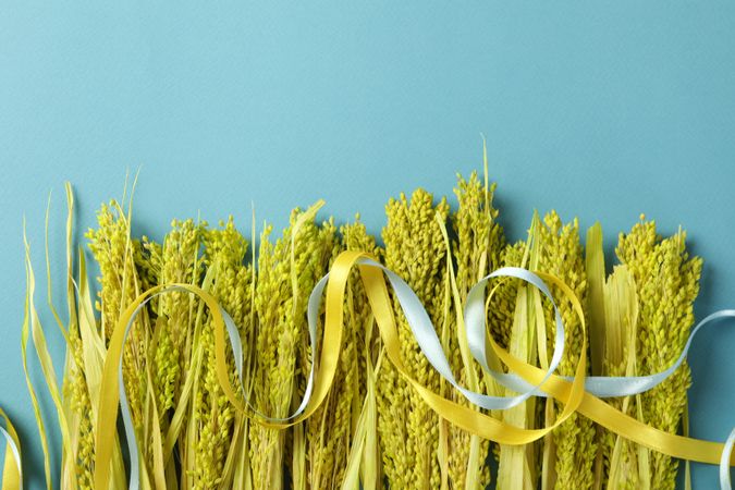 Row of yellow flowers on blue background with ribbons