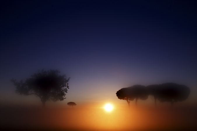 Defocused trees in sunset valley