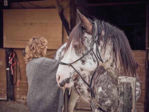 Unrecognizable woman standing near horse in stable
