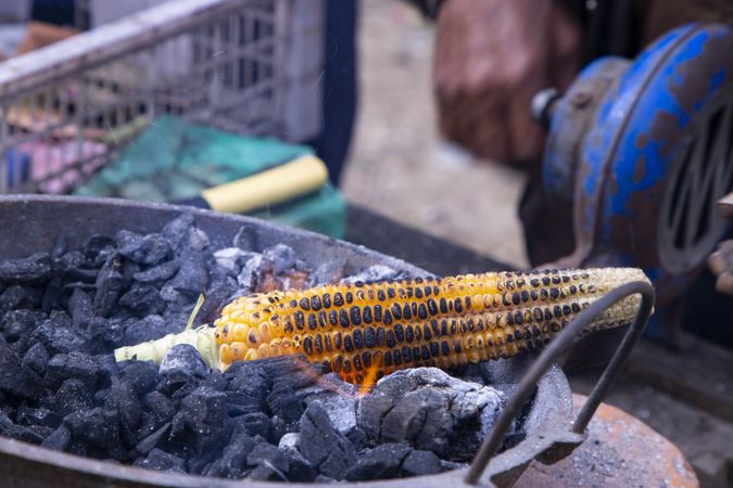 Fresh Raw Yellow corn roasted on fire from bbq