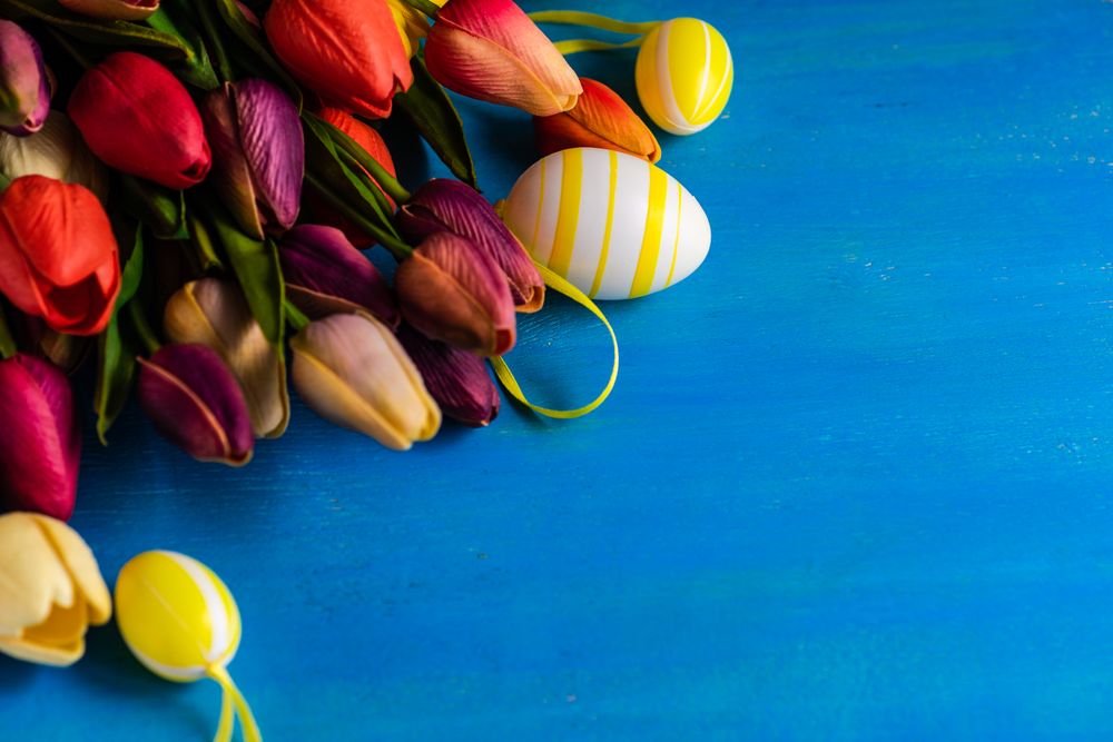 Flat lay of tulip flowers and egg ornaments on blue counter with space for text