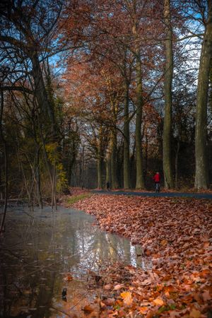 Pathway with cyclist in the forest on an autumn day