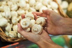 Female hands with catching mushrooms from a basket