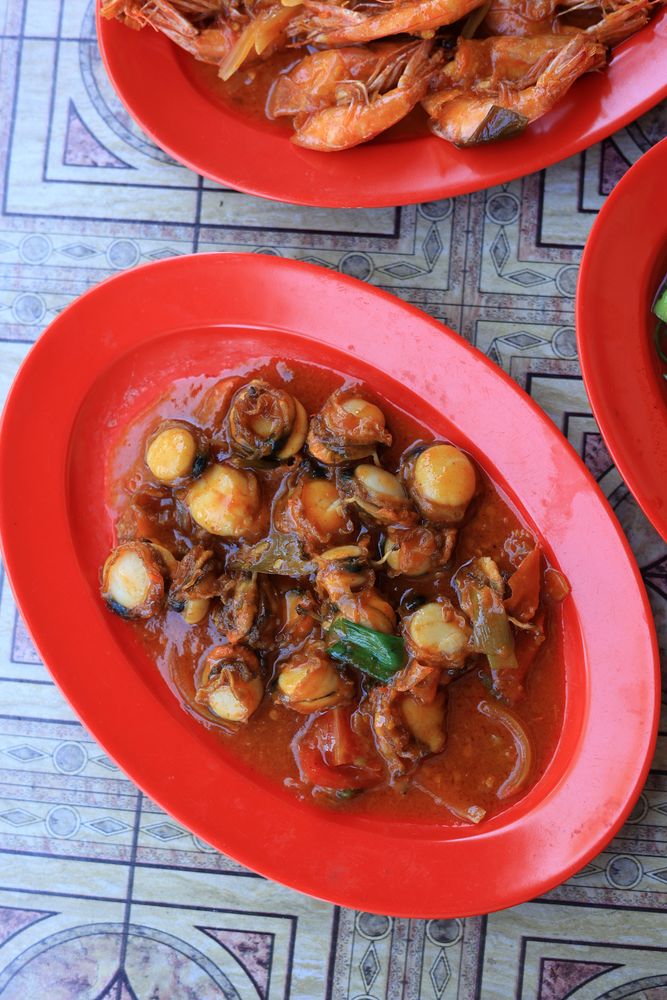 Tumis Kerang Saus Padang, Stir Fry Clams with Spicy Red Indonesian  Sauce on Red Plate