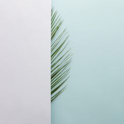 Palm leaf half covered with light on blue background