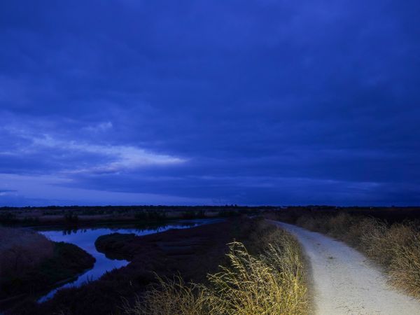 Biking the backroads between marshlands